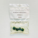 Mini Marimo Moss Ball