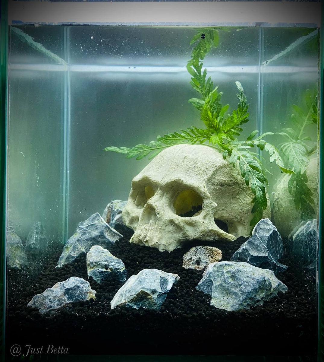 Ceramic Skull Aquarium Decoration, Ornament, Betta Fish Accessories 