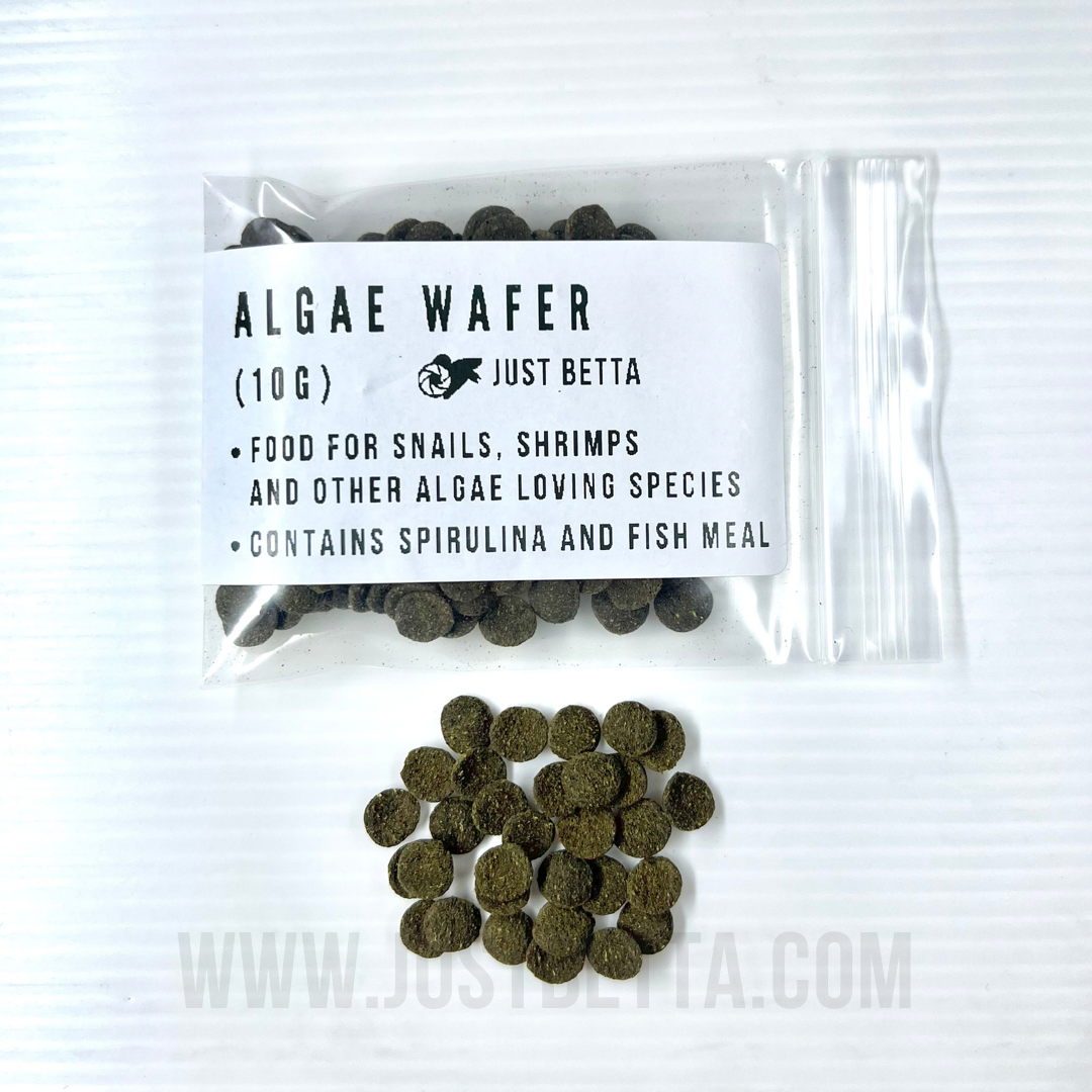 Algae Wafer – Just Betta