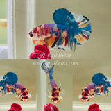 Rare! Purple X Blue Candy (Male)
