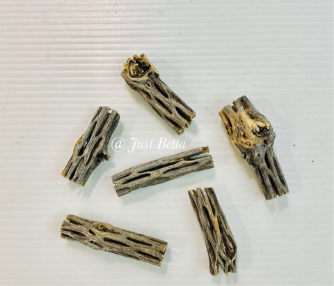Cholla Wood (4-6 cm)