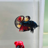Black Candy Avatar Junior (Male) - Perfectly Imperfect