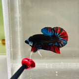 Dark Mask | BlackBase (Male)
