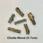 Cholla Wood (5-7 cm)