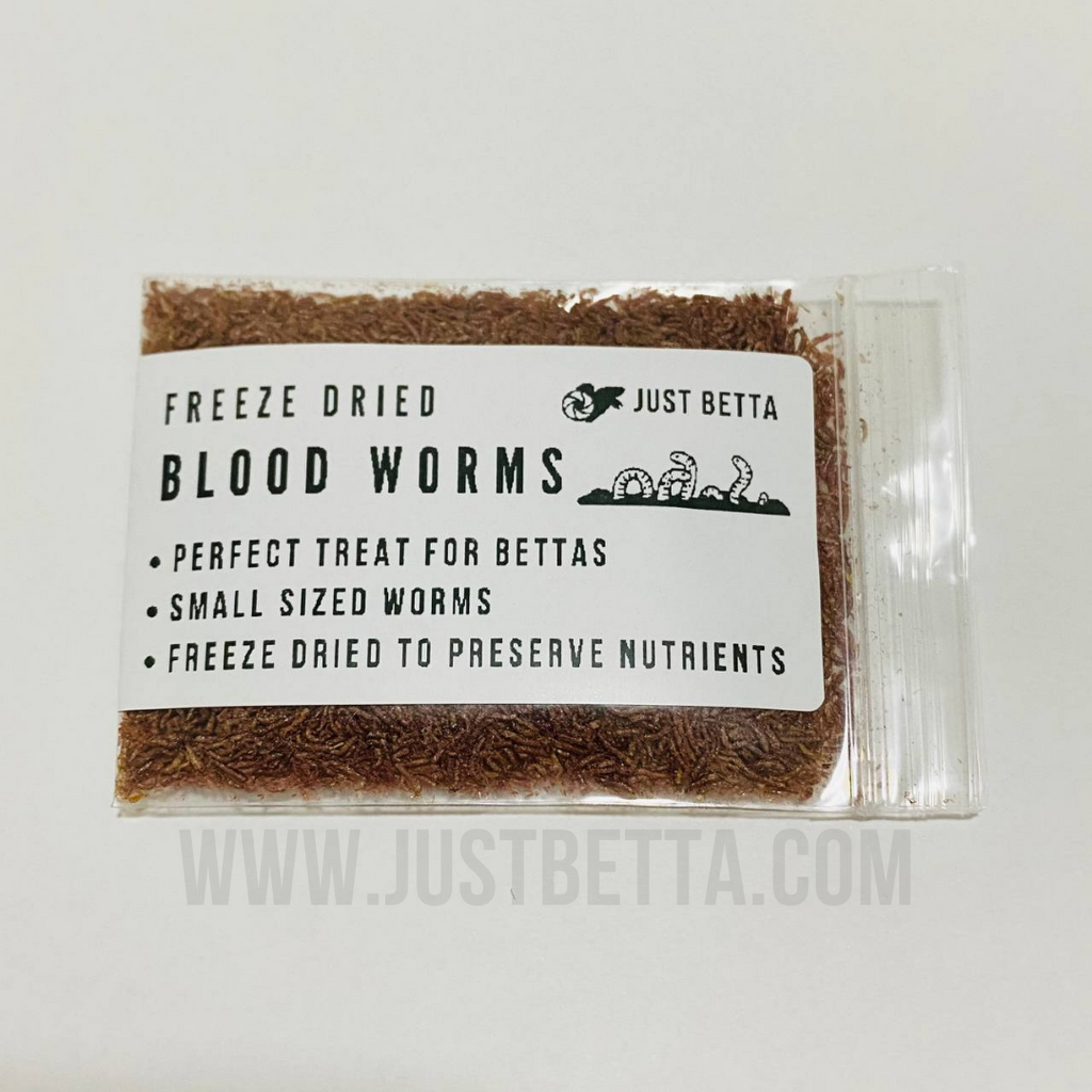 Freeze dried hot sale bloodworms for betta