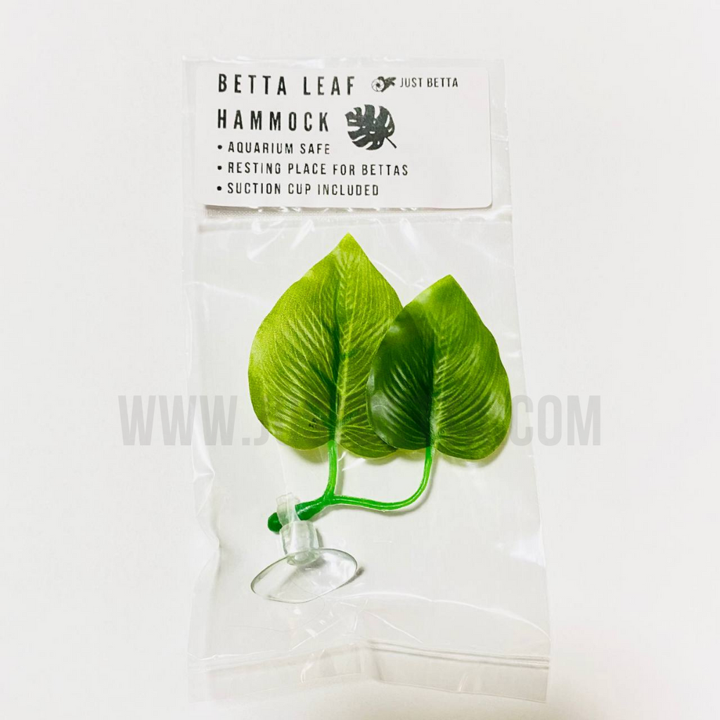 Betta leaf hammock hot sale