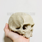 Skull Figurine (Aquarium Safe)