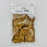 Mini Almond Leaf (KTP Leaf) For Shrimp/Betta