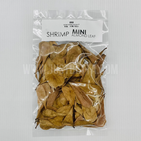 Mini Almond Leaf (KTP Leaf) For Shrimp/Betta