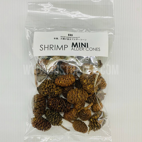 Mini Alder Cones (For Shrimp/Betta)